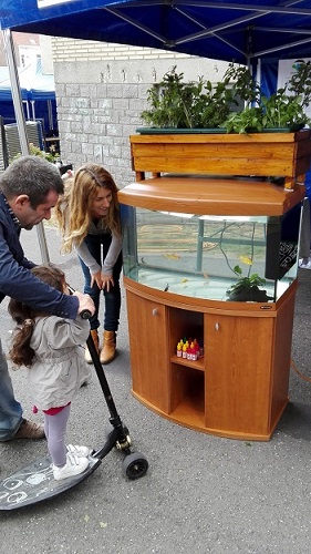 Exemple de module aquaponique d'intérieur que nous proposons