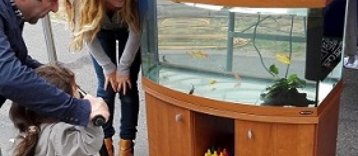 Exemple de module aquaponique d'intérieur que nous proposons